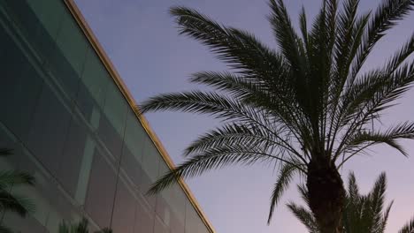barcelona sunset port building palm top 4k spain