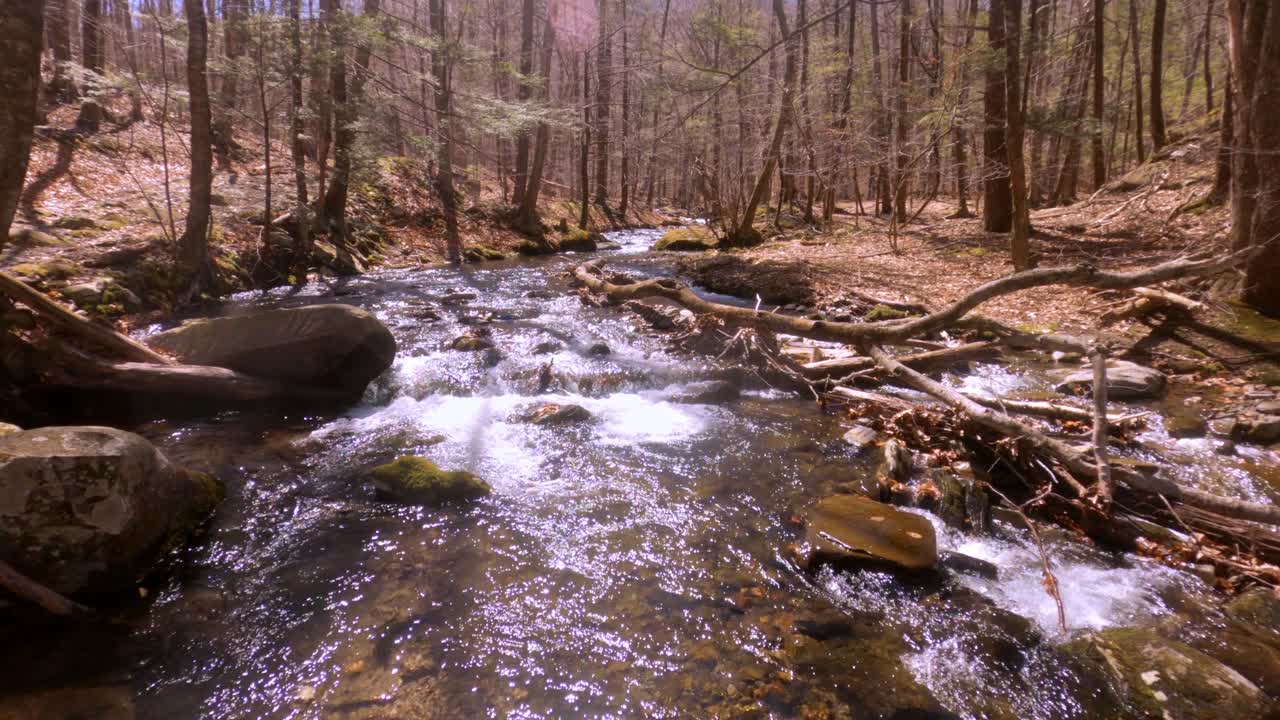 Aliran sungai pegunungan yang indah dan tenang pada awal musim semi, setelah salju mencair, di pegunungan Appalachian.
