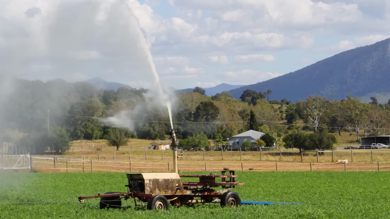 자동 관개 시스템은  전체에서 작동합니다.