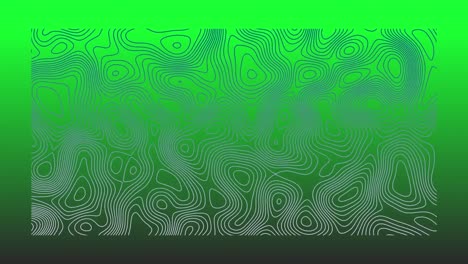 Animation-of-organically-moving-grey-topographic-lines-on-bright-green-background