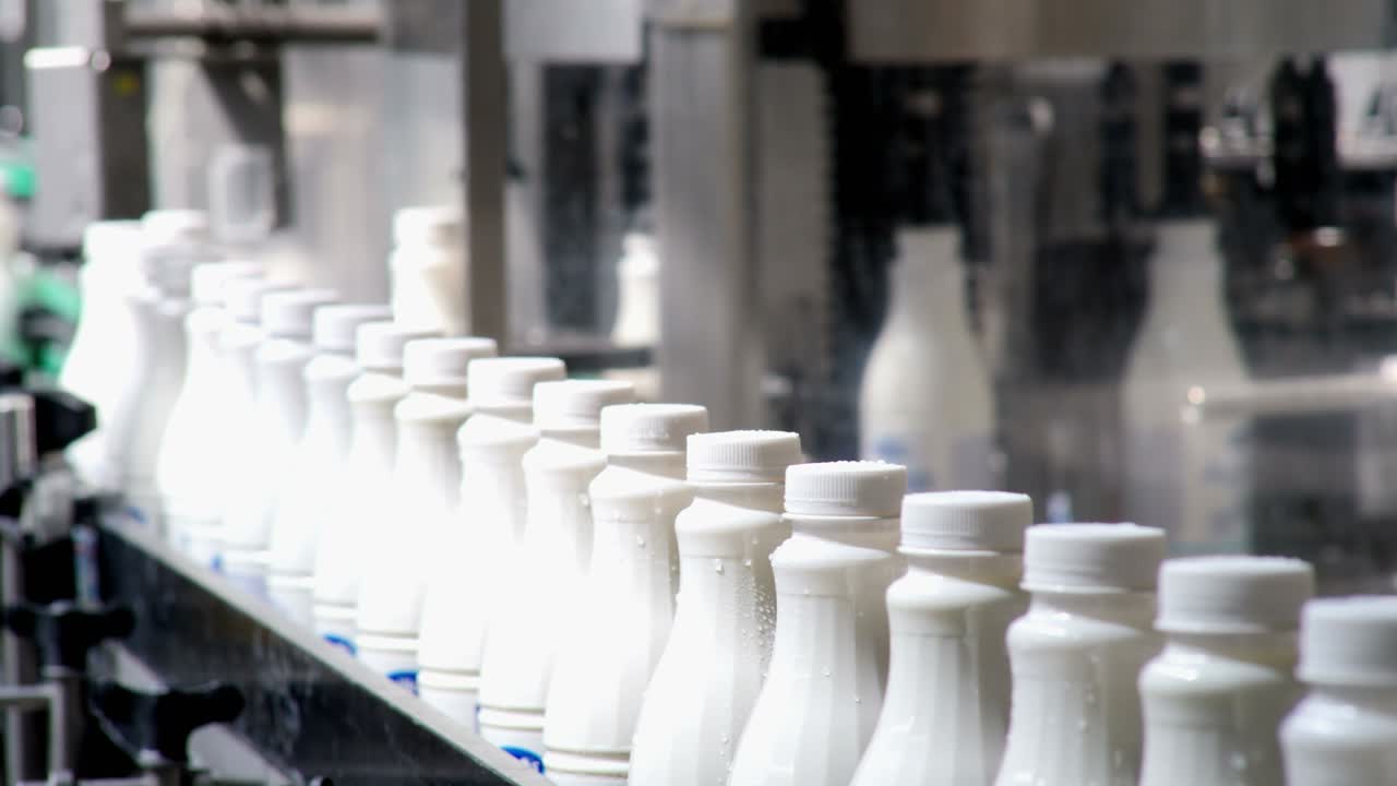 imágenes de botellas de leche de plástico blanco clasificadas en la línea de producción y que avanzan para ser empacadas