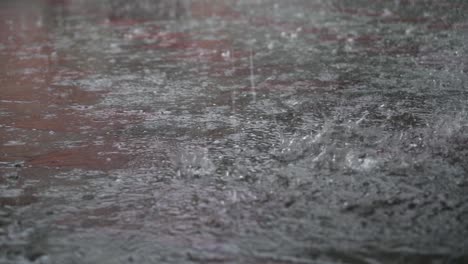 heavy rain on a city street. great summer downpour. large drops fall on the asphalt.