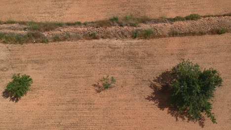 Panorámica-Aérea-A-Lo-Largo-Del-Campo