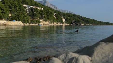 Snorkeler-man-snorkeling-in-the-sea-by-mountains,-Mediterranean