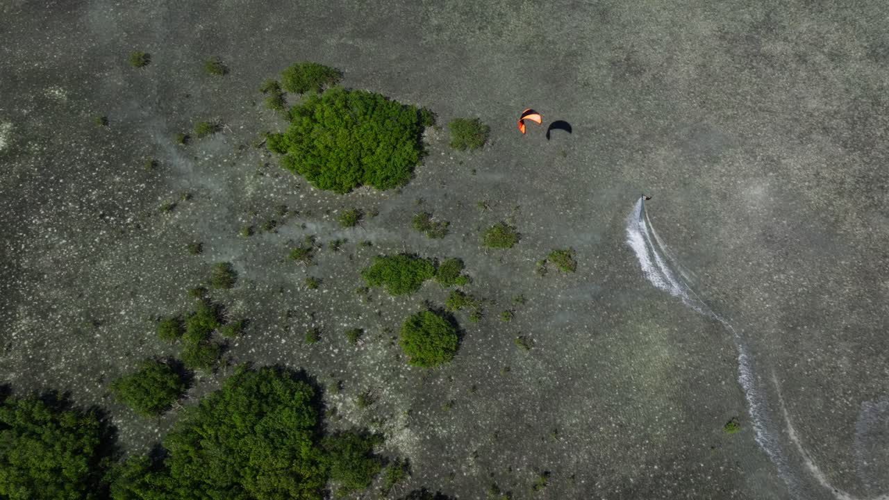 맹그로브 에서 카이트보딩