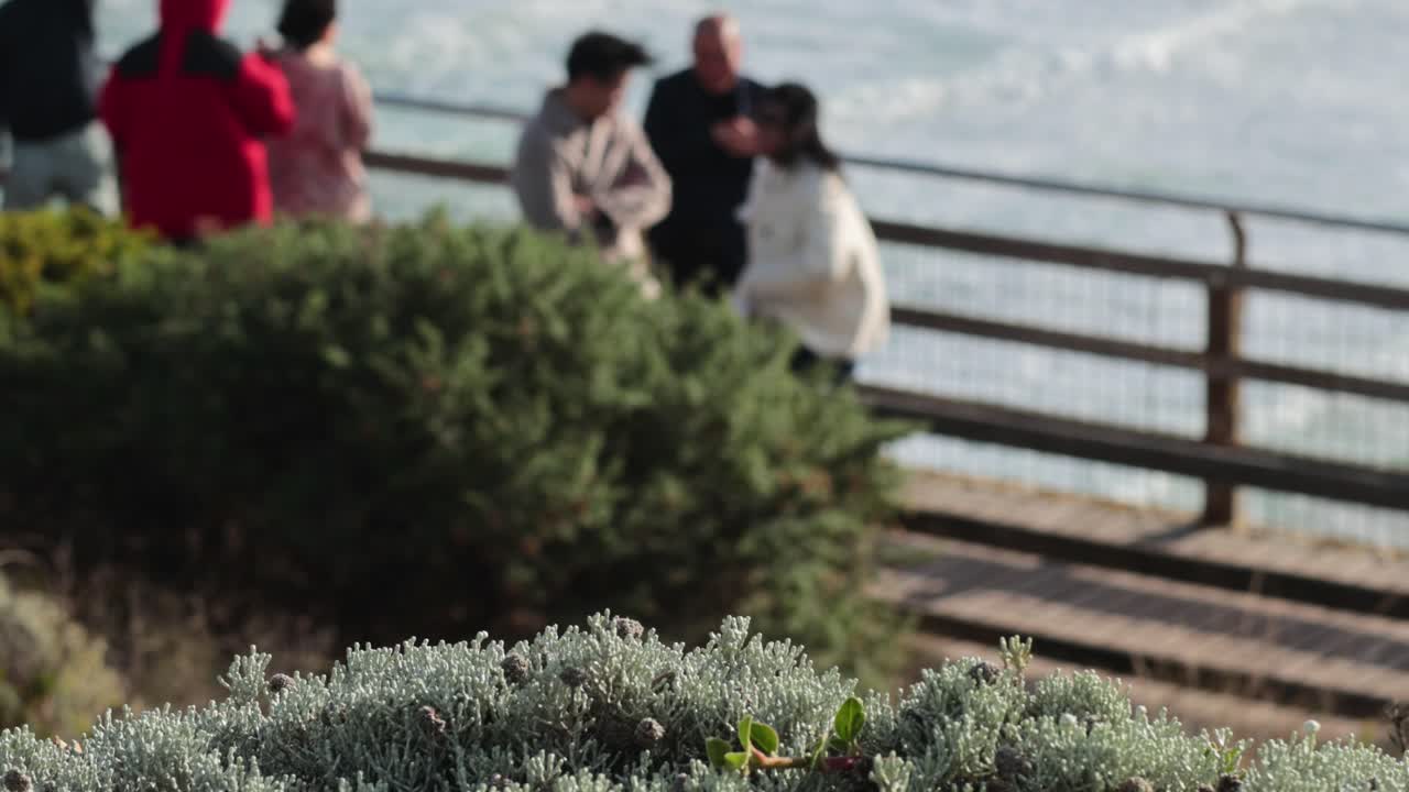 경치 좋은 해안 풍경을 즐기는 사람 들