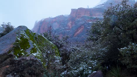 a moss covered rock with the mountains in the background while the snow falls