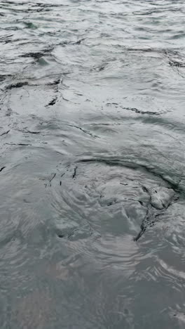 ondulaciones de la superficie del agua