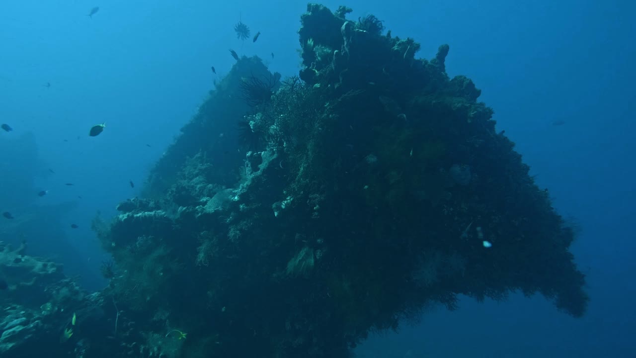 naufragio cubierto de coral y algas, naufragio de barco, bali 2023