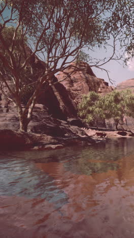 desert oasis scenery