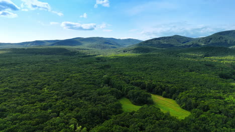 lush green landscape with rolling hills. vast greenery sprawls across the hills, showcasing nature's beauty under a clear blue sky on a sunny day