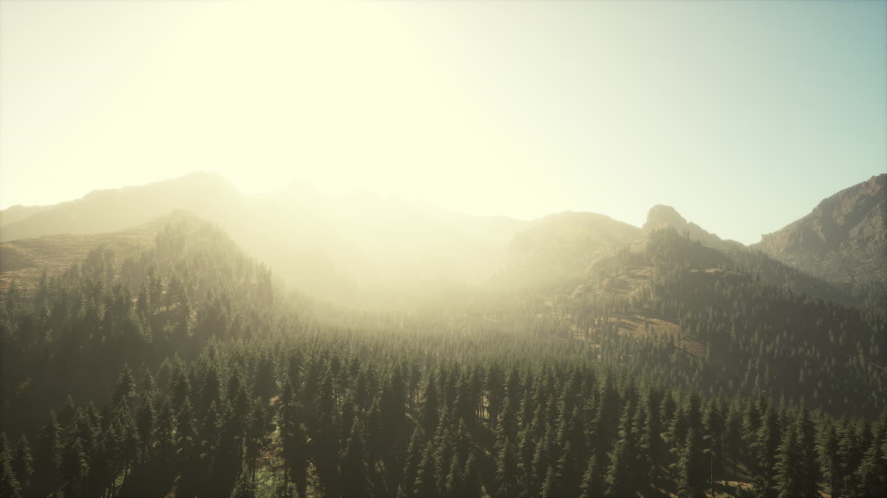 사야 산맥 앞 에 있는 느티나무 숲 에서 아름다운 해가 지는 풍경