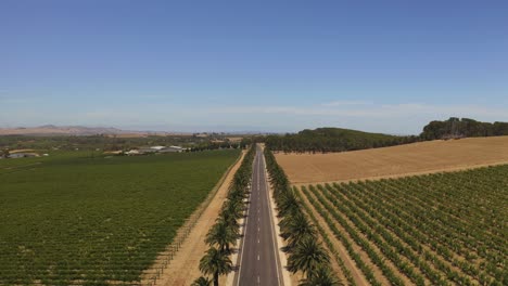 aerial drone view of seppeltsfiled road, south australia