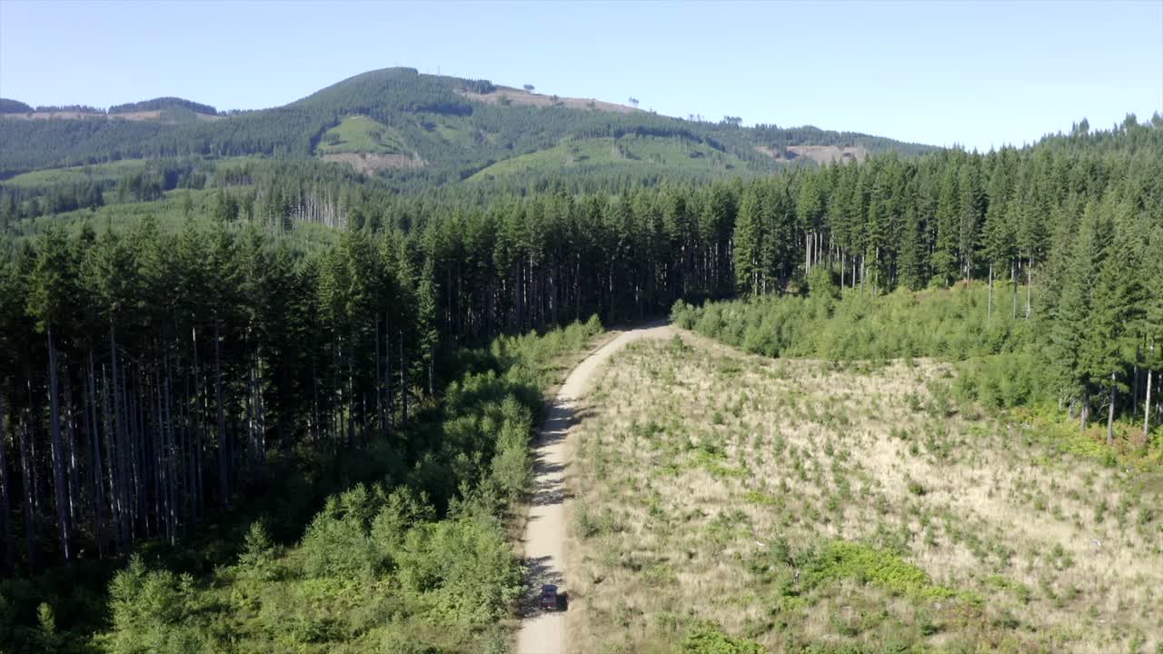 vw 밴 빈티지 밴이 숲의 조감도 4k 드론을 통해 운전합니다.