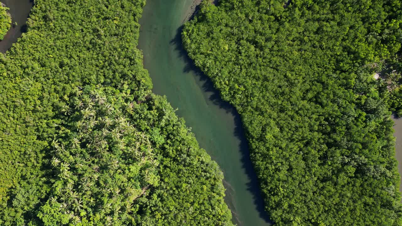 Creek Through Greenery Landscape Near Yocti Coastal Barrio In San Andres, Catanduanes, Philippines. Aerial Topdown Shot