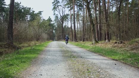 small boy ride on bicycle in spring forest, healthy outdoor recreation