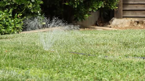 aspersor de césped de izquierda a derecha en la hierba verde suburbana