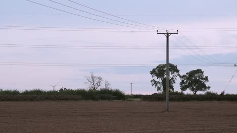 Long-shot-of-a-lone-windmill-across-farms-with-power-lines-running-across