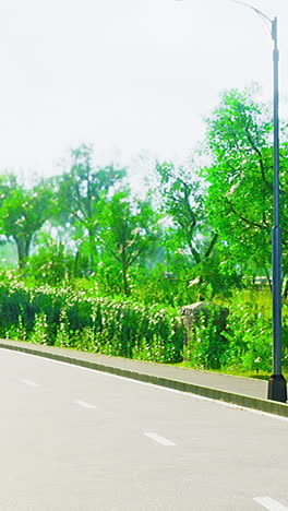 Lush green path invites strolls in a serene urban park during summer