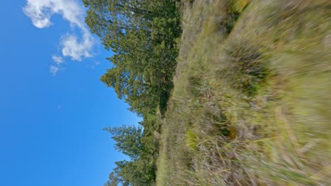 Drone-Pov-Hacia-New-Valley-Road-Al-Monumento-Al-Coronel-Caamano-En-Republica-Dominicana