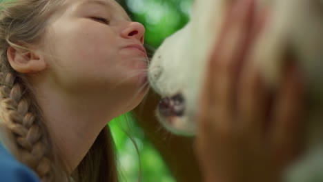 portrait of chewing girl caressing dog closeup. pet lick cute face on picnic.