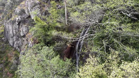 Barbelote-Wasserfall,-Monchique,-Algarve