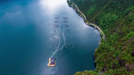 Aerial-footage-Farm-salmon-fishing-in-Norway