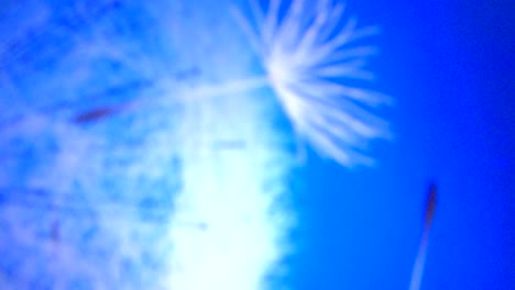 blue wave sky
