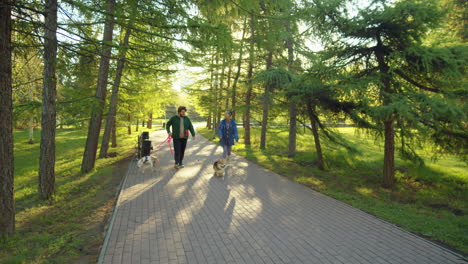 man and woman walking with dogs in park