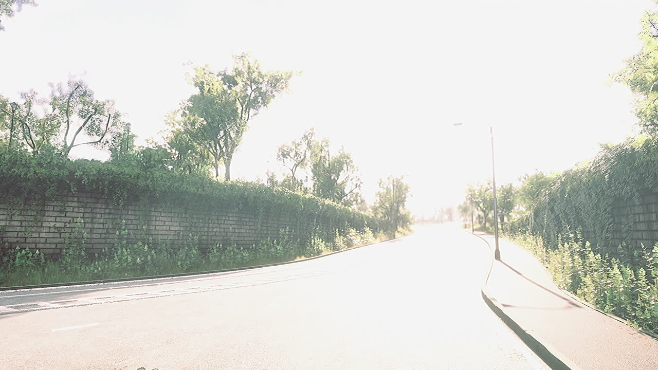 Bright and serene morning on a winding road surrounded by greenery