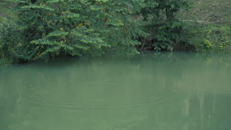 water splash after stone fall in green lake water