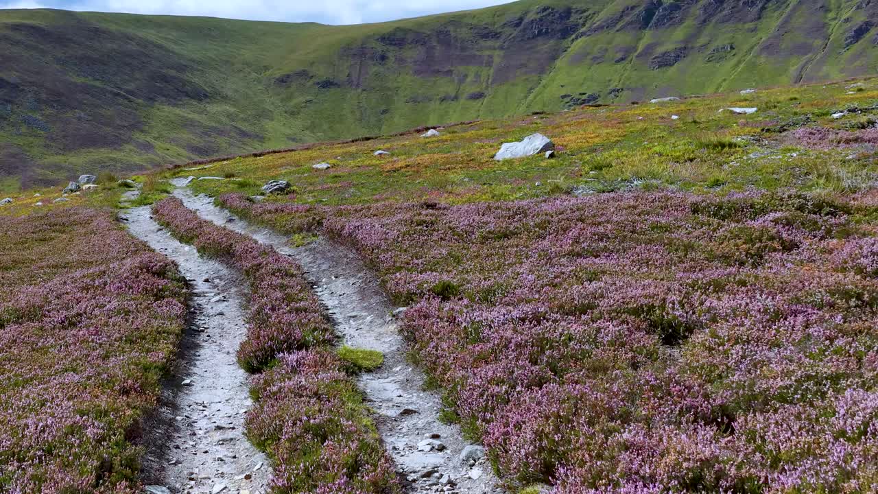 Camera moves forward on scenic heather trail, revealing lush moorland and distant green hills