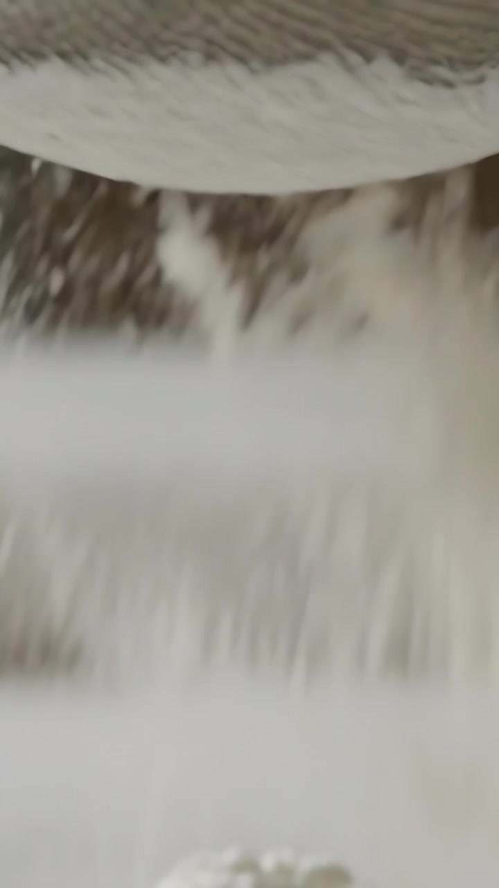 Video verticale: Scuotendo un setaccio a maglie che rilascia polvere fine sul bancone della cucina, formando un mucchietto.
