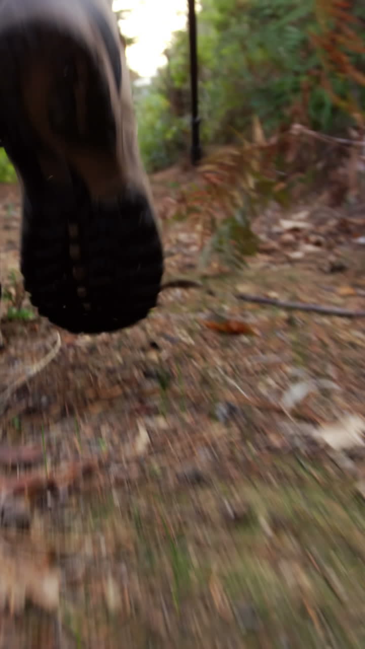 Primo piano di scarponi da trekking in cammino.