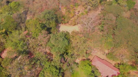 Drone-footage-moving-backwards-looking-down-at-a-forest-with-buildings-and-revealing-a-boat-jetty-and-a-lake