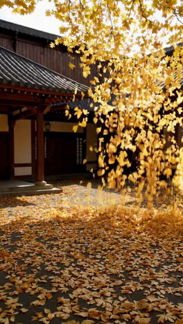 Autumn Leaves in a Japanese Courtyard