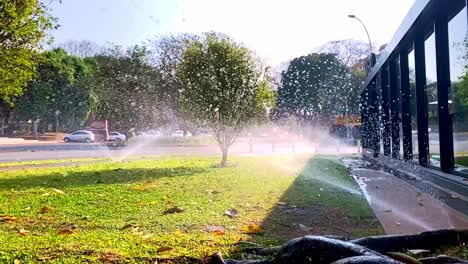 sistema de riego para nuestro huerto urbano - cámara lenta