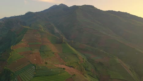 Vista-Aérea-De-Tierras-Agrícolas-En-La-Colina-Por-La-Mañana