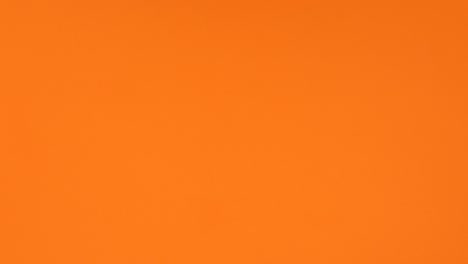 halloween bast and pumpkins appear on left side. stop motion
