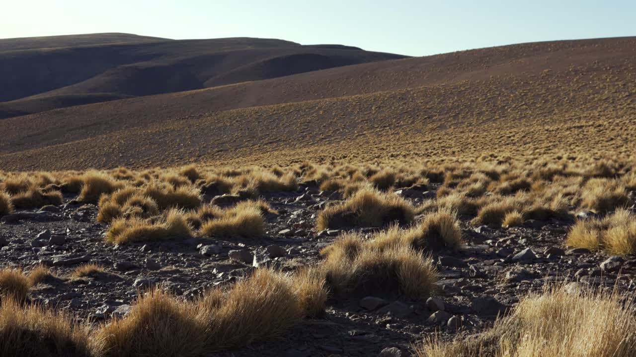Nature tundra Eduardo Avaroa Andean Fauna National Reserve Bolivia landscape