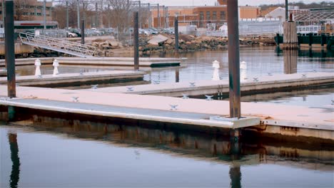 wide shot of boat dock floating on water, early morning