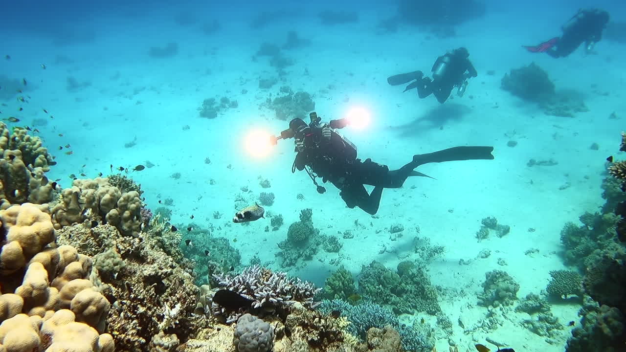 Scuba diver aims underwater photography rig at camera while exploring coral reef