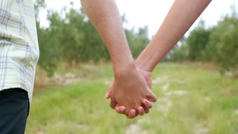 sección media de la pareja caminando con la mano en la mano 4k