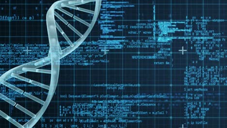 dna model against binary codes and grid