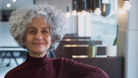 Head-And-Shoulders-Portrait-Of-Smiling-Mature-Businesswoman--Working-In-Modern-Office