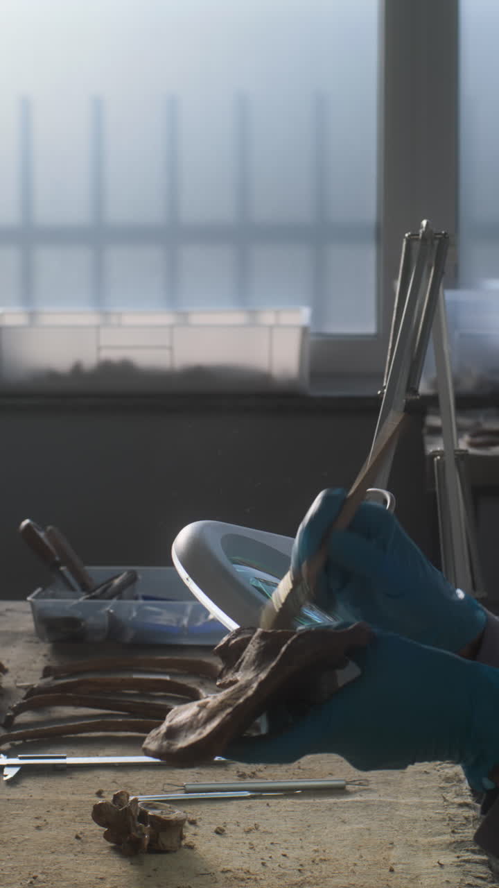 고대  조각 을 청소 하는 고고학자