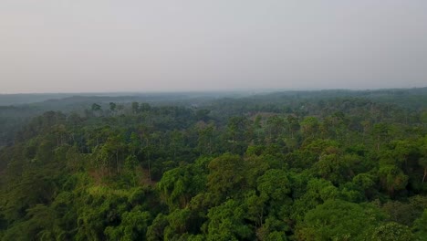 aerial over generic jungle and rainforest in guatemala 1