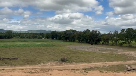 Travelling-and-observing-the-landscape-of-country-side