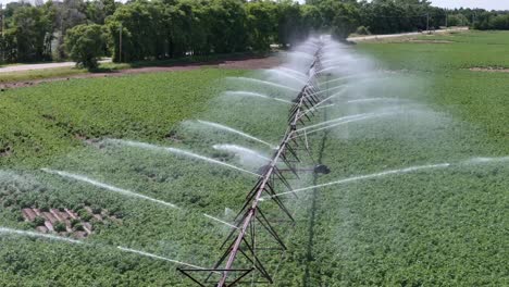 un campo agrícola en el centro de wisconsin es irrigado con un sistema de rociadores