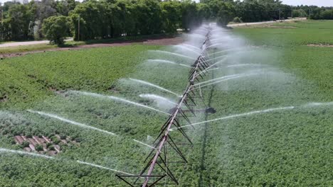 a farm field in central wisconsin is irrigated with a sprinkler system